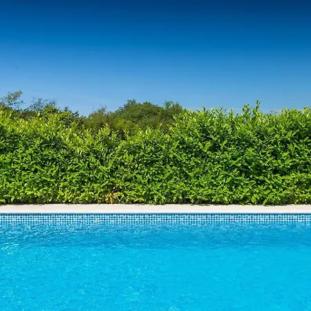 Tatil Evi Vito